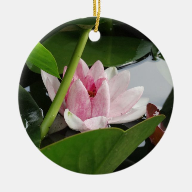 Pink White Lotus Flower Photography Ceramic Tree Decoration (Front)