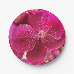 pink, white, orchid flower, nature, summer, garden paper plate