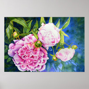 Pink white peony painting   romantic floral poster