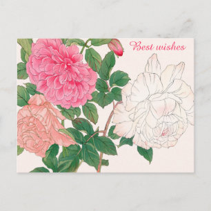 Pink & White Rose Flowers Green Leaves Best Wishes Postcard