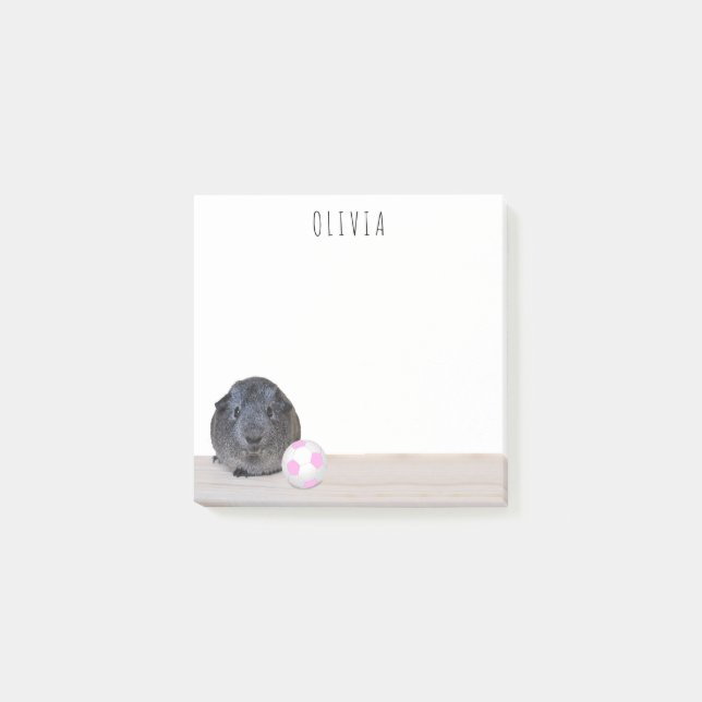 Pink White Soccer Ball Guinea Pig Back To School Post-it Notes (Front)