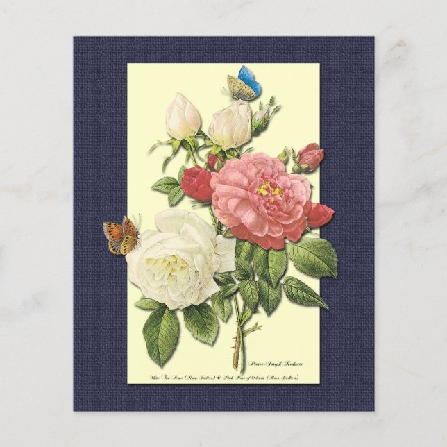 Pink White Vintage Botanical Roses Flyer Template (Front)