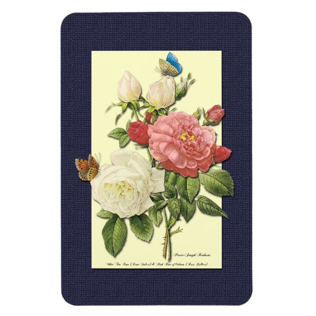 Pink White Vintage Botanical Roses Magnet (Vertical)