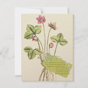 Pink Wild Flower Botanical Dinner Invitations