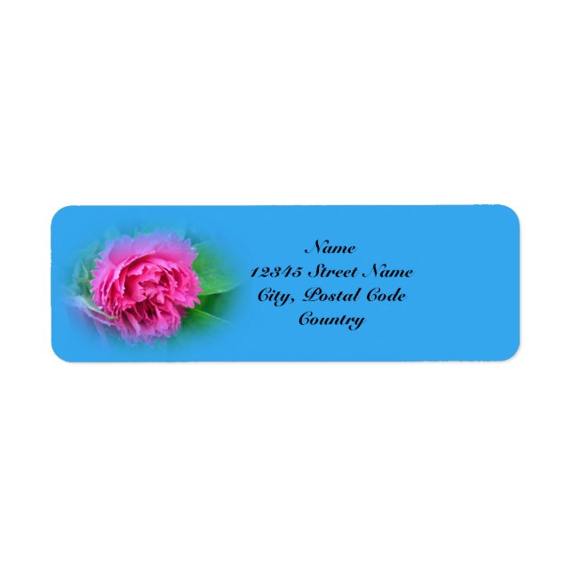 pink wild rose,blue (Front)