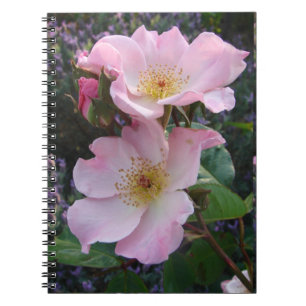 Pink Wild Rose Flower floral Photo Mom Mothers Day Notebook