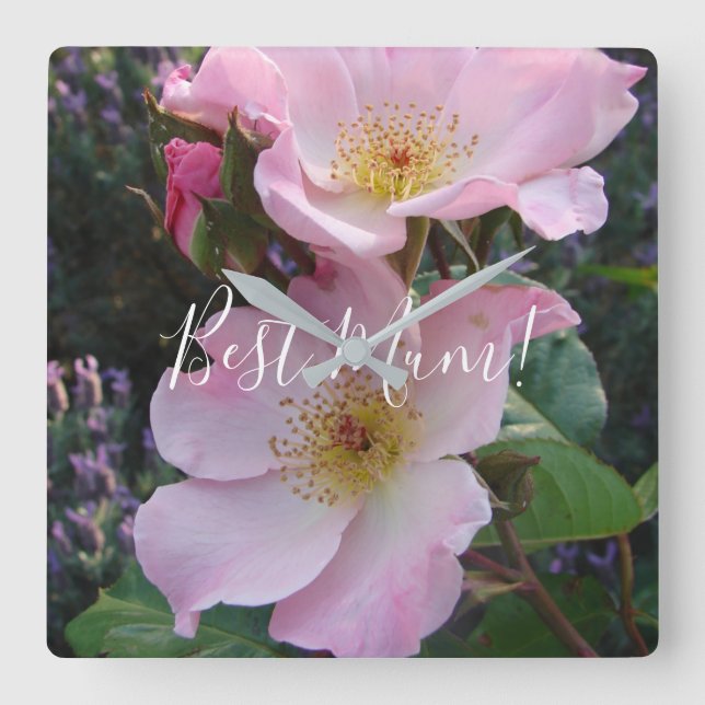 Pink Wild Rose Flower floral Photo Mom Mothers Day Square Wall Clock (Front)