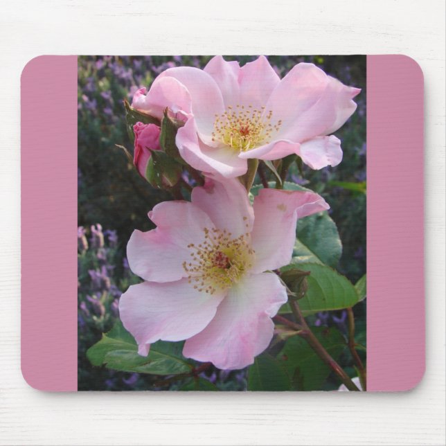 Pink Wild Rose Flower floral Photo Mouse Pad (Front)