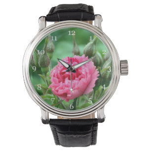 pink wild rose flower floral watch
