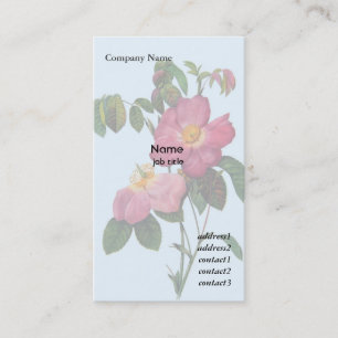 Pink wild rose flower, Pierre Joseph Redouté Business Card