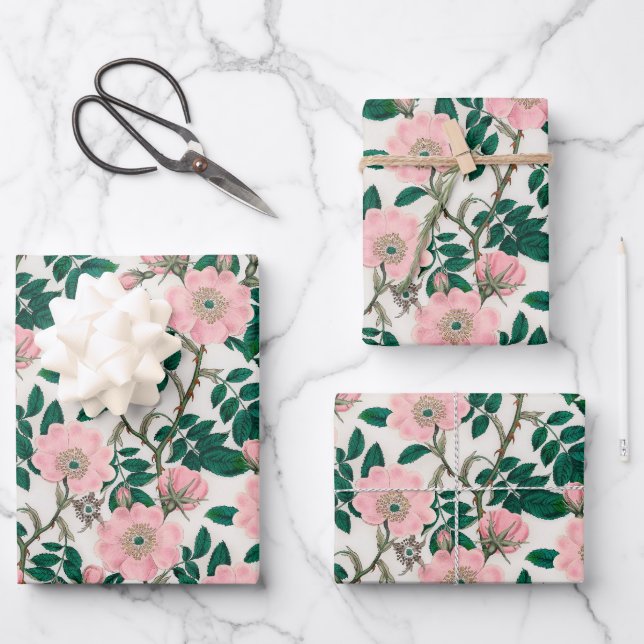 Pink Wild Rose Flowers & Green Leaves Pattern Wrapping Paper Sheet (Front)