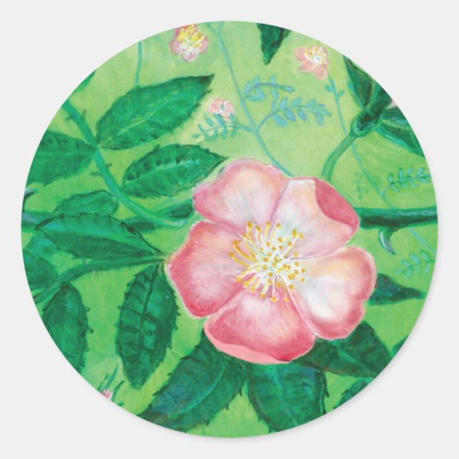 Pink Wild Rose Illustration  Classic Round Sticker (Front)