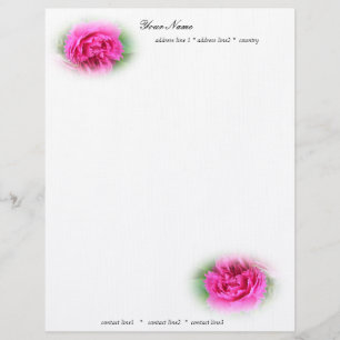 pink wild roses letterhead template