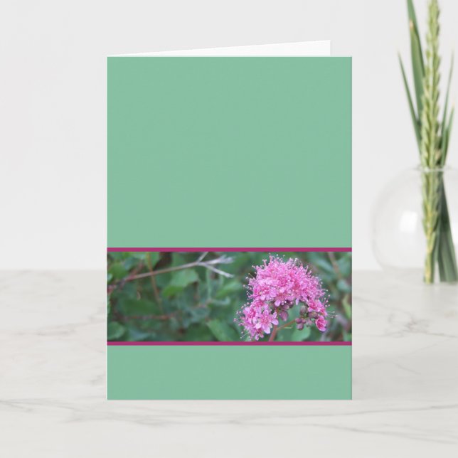 Pink Wildflower Greeting Card (Front)
