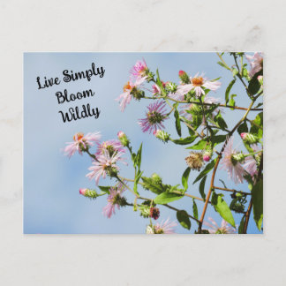 Pink Wildflower on Blue Quote Postcard