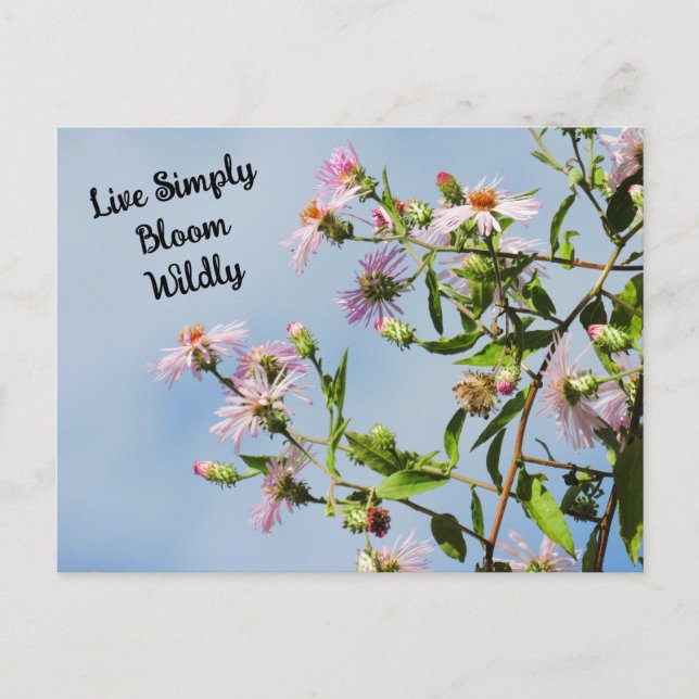 Pink Wildflower on Blue Quote  Postcard (Front)