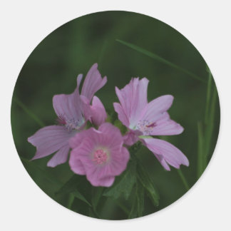 Pink Wildflowers amongst the grass Classic Round Sticker