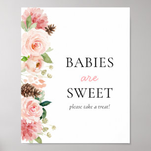 Pink Winter Baby Shower Babies are Sweet Poster