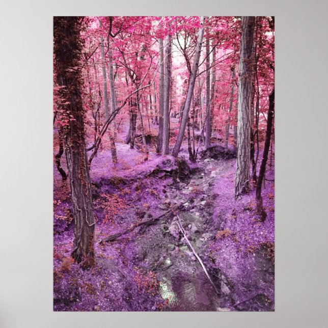 Pink Wonderland Poster (Front)