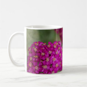 Pink Yarrow Flowers Coffee Mug