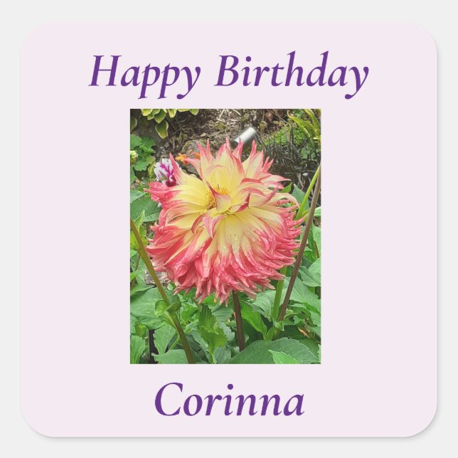 Pink & Yellow Dahlia  Square Sticker (Front)