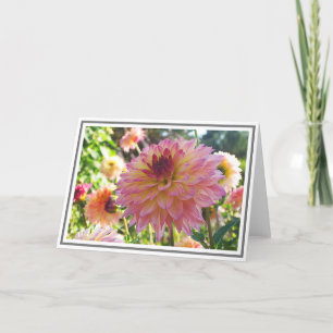 Pink Yellow Decorative Dahlia Close-Up Card