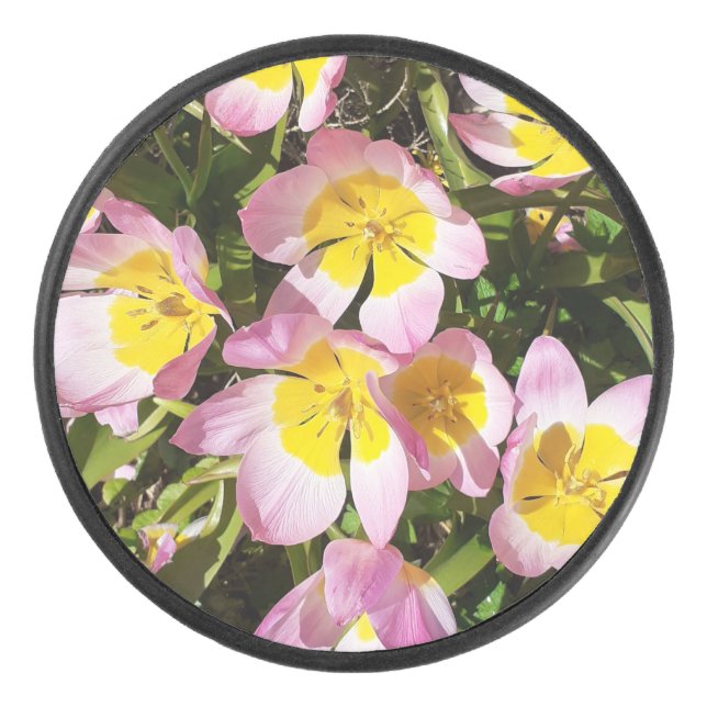 Pink & Yellow Flowers  Hockey Puck (Front)