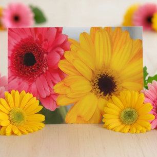 Pink Yellow Gerbera Daisy Friendship Bright Floral Card