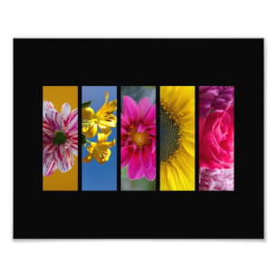 Pink & Yellow Macro Flowers landscape Photo Print