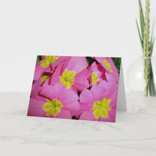 Pink Yellow Primrose Note Card