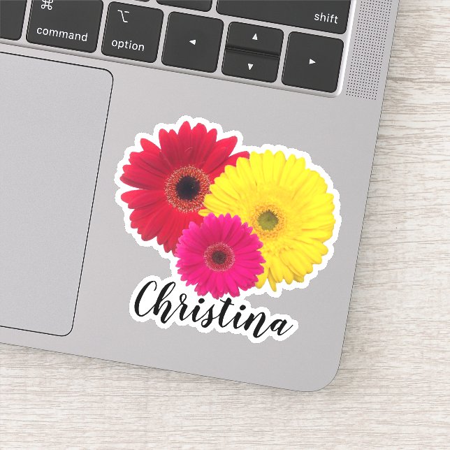 Pink Yellow Red Gerbera Daisy with Name | (Detail)