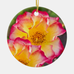 Pink Yellow Rose Ceramic Tree Decoration