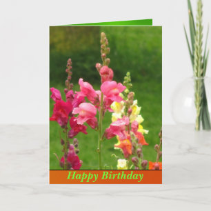 Pink Yellow Snapdragon Flower Happy Birthday Card