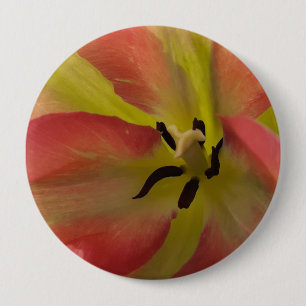 Pink & Yellow Tulip 10 Cm Round Badge