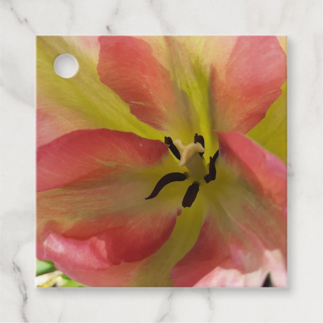 Pink & Yellow Tulip  Favour Tags (Front)