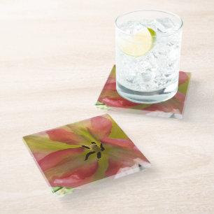 Pink & Yellow Tulip Glass Coaster
