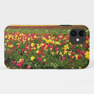 Pink & Yellow Tulips, Oregon Case-Mate iPhone Case