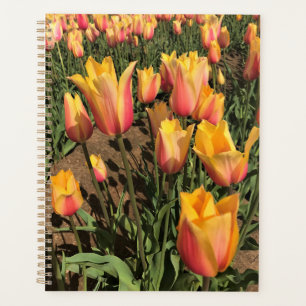 Pink & Yellow Tulips Planner