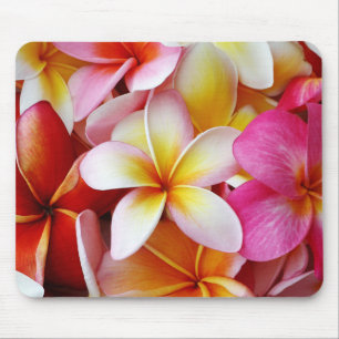 Pink Yellow White Mixed Plumeria Flower Mouse Pad
