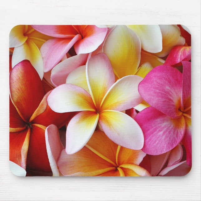 Pink Yellow  White Mixed Plumeria Flower Mouse Pad (Front)