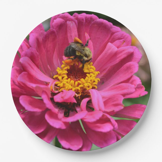 Pink Zinnia and Bumble bee Paper Plate (Front)