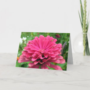 Pink Zinnia - Birthday Card