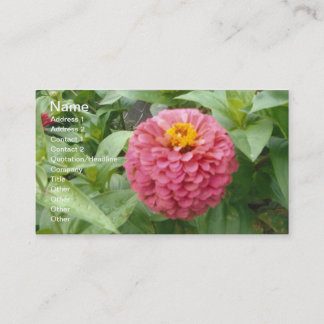 Pink Zinnia Business Card