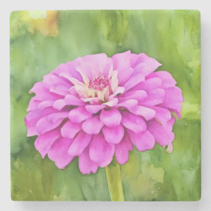 Pink Zinnia Flower Art Marble Stone Coaster
