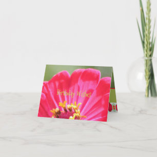Pink Zinnia Flower  Card
