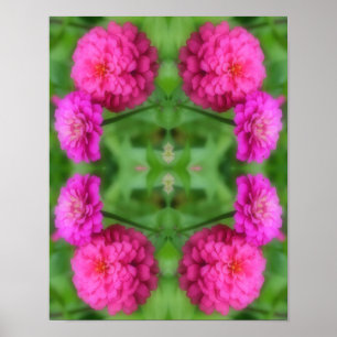 Pink Zinnia Flower Pair Abstract Poster