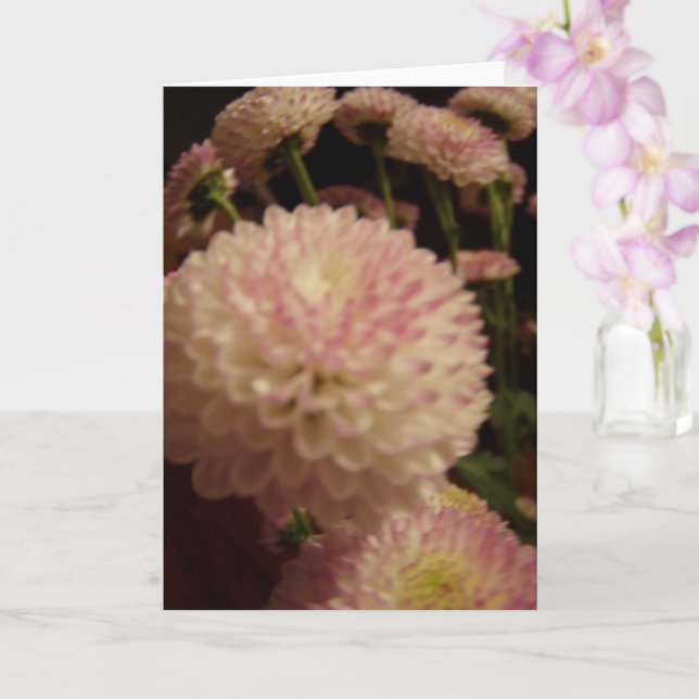 Pink Zinnia Flowers Card (Orchid)
