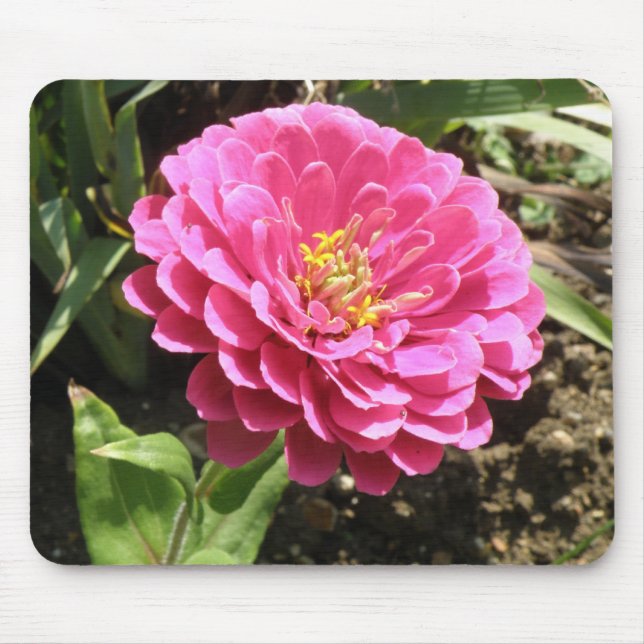Pink Zinnia Mousepad (Front)