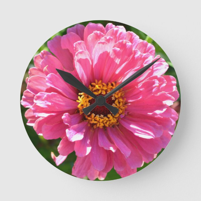 Pink Zinnia Round Clock (Front)
