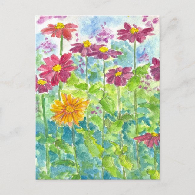 Pink Zinnia Wildflower Watercolor Garden Art Postcard (Front)